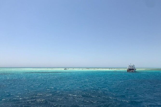 Marsa Mubarak Snorkeling With Dugong and Turtles