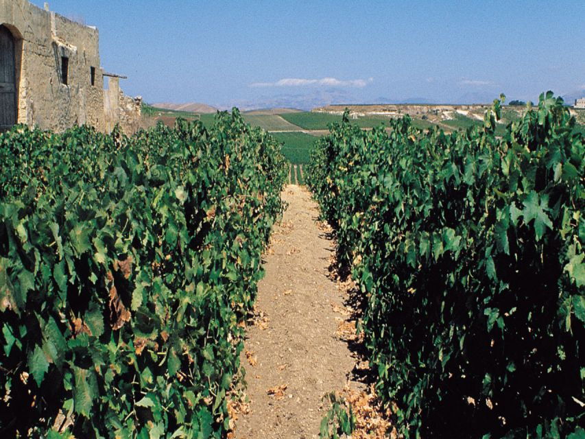 Marsala: Winery Tour With Wine Tasting and Local Products