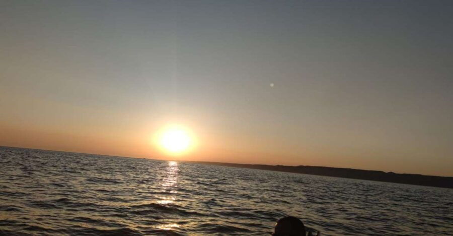 Marseille: Cruise to the Island of Frioul & Chateau D’if