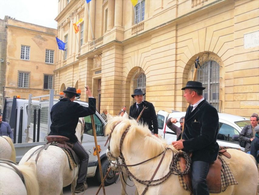Marseille: The Camargue 8-Hour Guided Outing