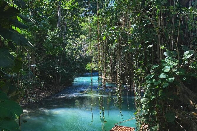 Martha Brae Bamboo Rafting Plus Blue Hole and Secrets Fall Private Tour