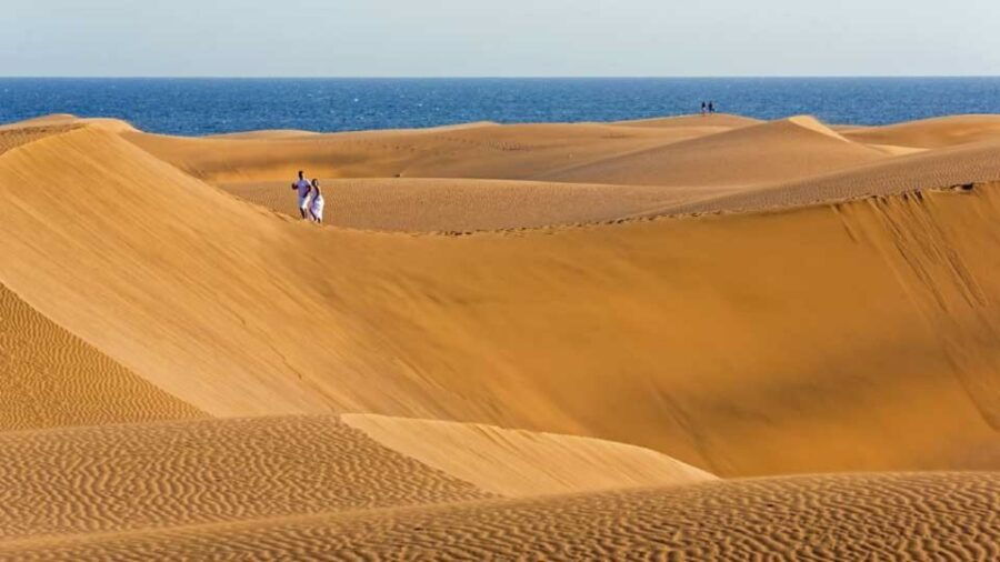 Maspalomas: Southern Coast E-Bike Tour Option Tapas Tasting