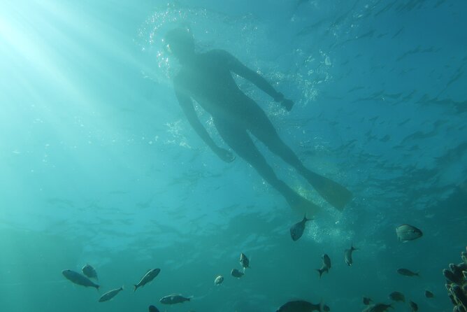 Master Snorkeling Experience Atlantic Ocean Marine Life Upclose - Good To Know