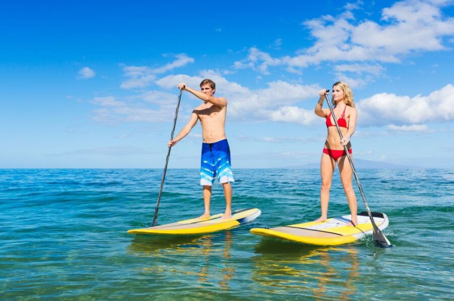 Maui: 2-Hour Stand-Up Paddleboard Surfing Lesson - Experience Description