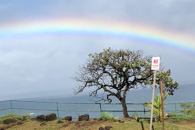 Maui Tour : Iao Valley, Hawaiian Distillery and Lavender Farm Tour - Good To Know