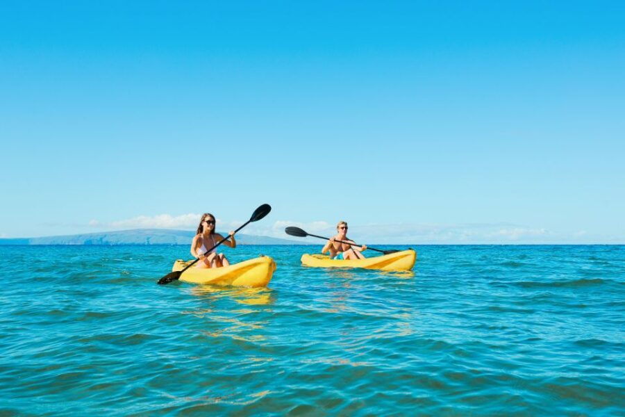 Maui: Turtle Town Kayak and Snorkel Tour - Good To Know