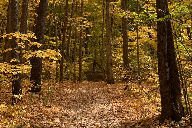 Maybury State Park Guided Hiking and Trail Running Trips - Good To Know