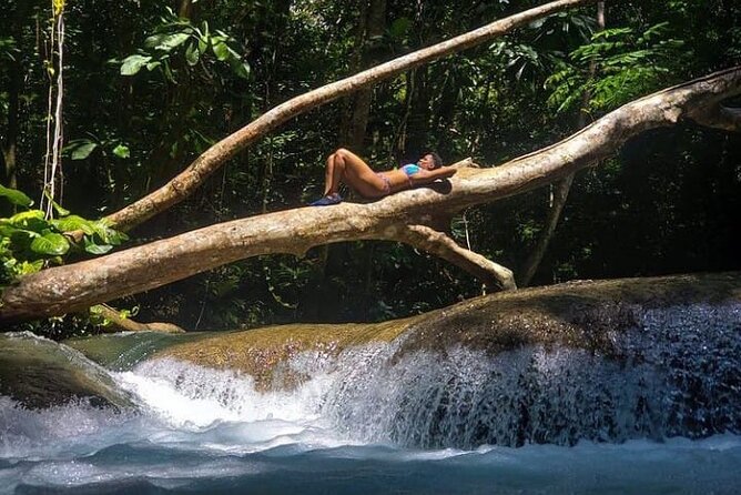 Mayfield Falls & Margaritaville Negril Tours With Lunch & Drink - Good To Know