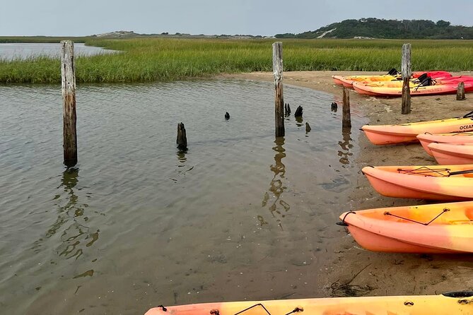 Mayflower Excursions National Seashore & 4 Pm Sunset Tour