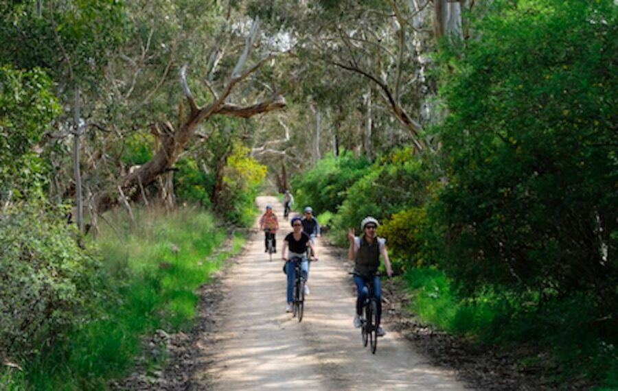 McLaren Vale: E-Bike Rental to Explore the Vineyards