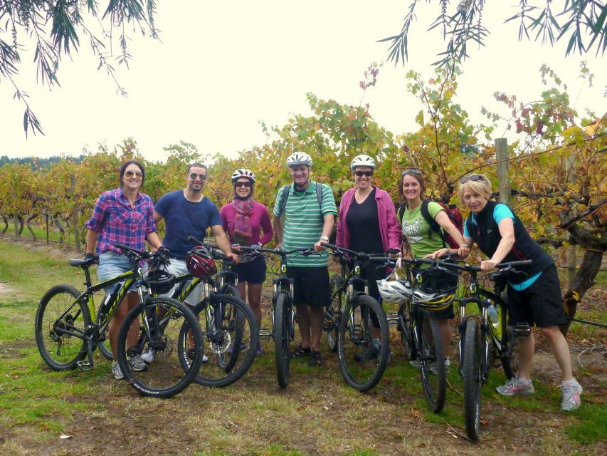Mclaren Vale Hills Vines and Wines Bike Tour From Adelaide
