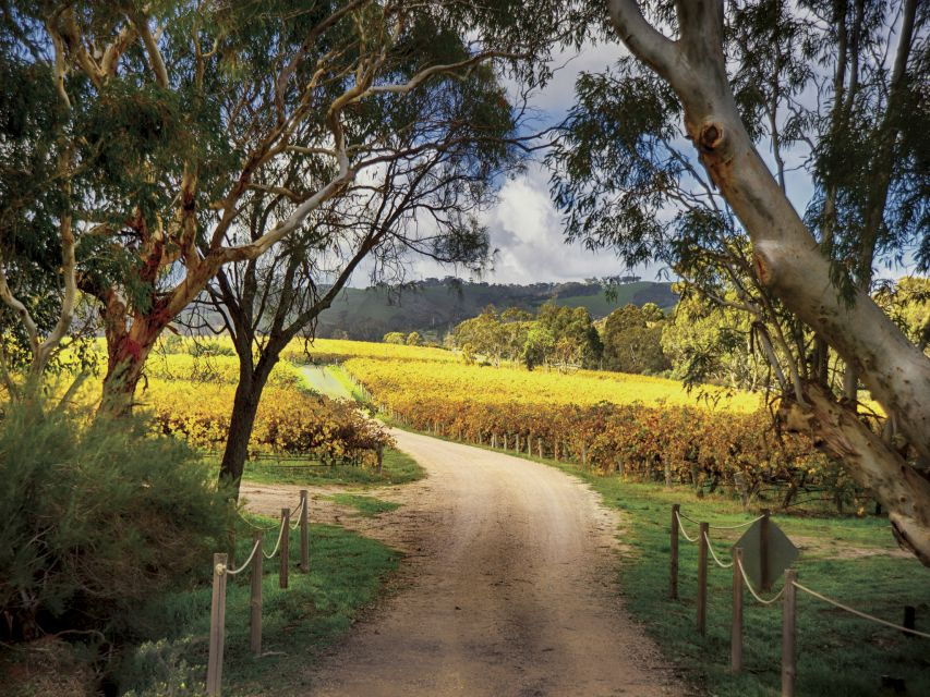 McLaren Vale Winery Experience – Small Group Tour