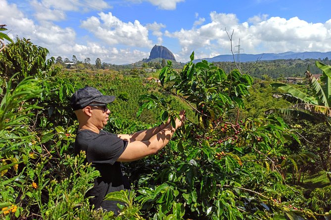 Medellin, Colombia Full-Day Coffee Farm and Guatape Tour  - Medellín - Good To Know