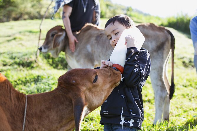 Medellin Day Trip Horseback Riding Food Tasting and Milking Cows - Good To Know