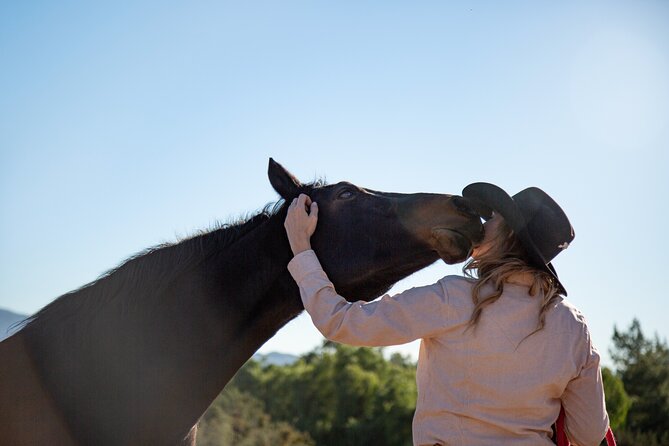 Medellin: Horseback Riding Adventure In Nature (Dont Overpay) - Good To Know