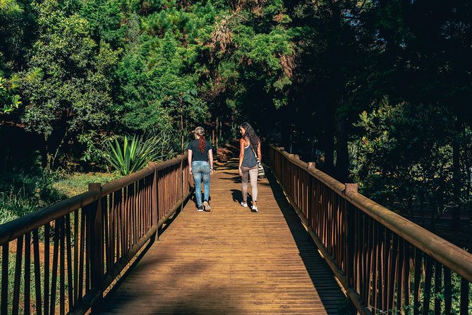 Medellín Through the Farmers Eyes - Good To Know