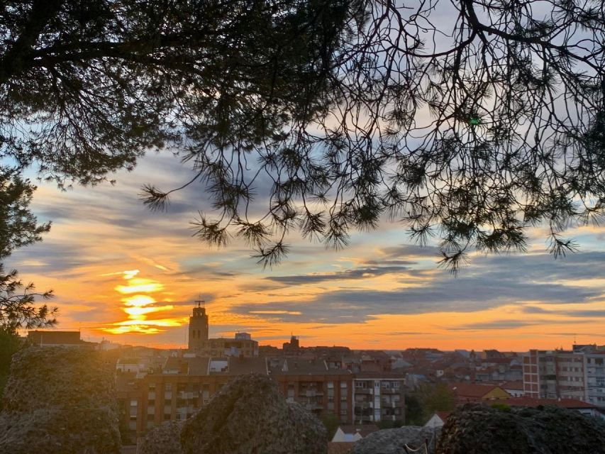 Medina Del Campo: Private Sightseeing Tour - Good To Know