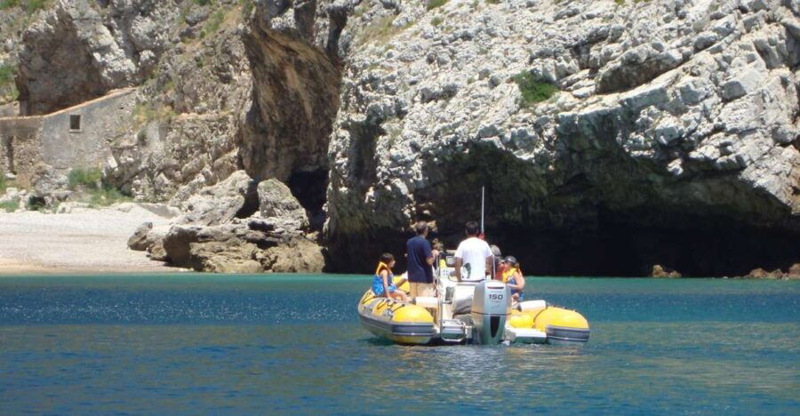 Meet the Real Portugal: Day Tour From Lisbon - Good To Know