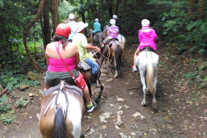 Mega Adventure Tour (Private Transportation)