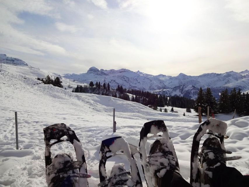Megève: Icefall & Snowshoeing Day
