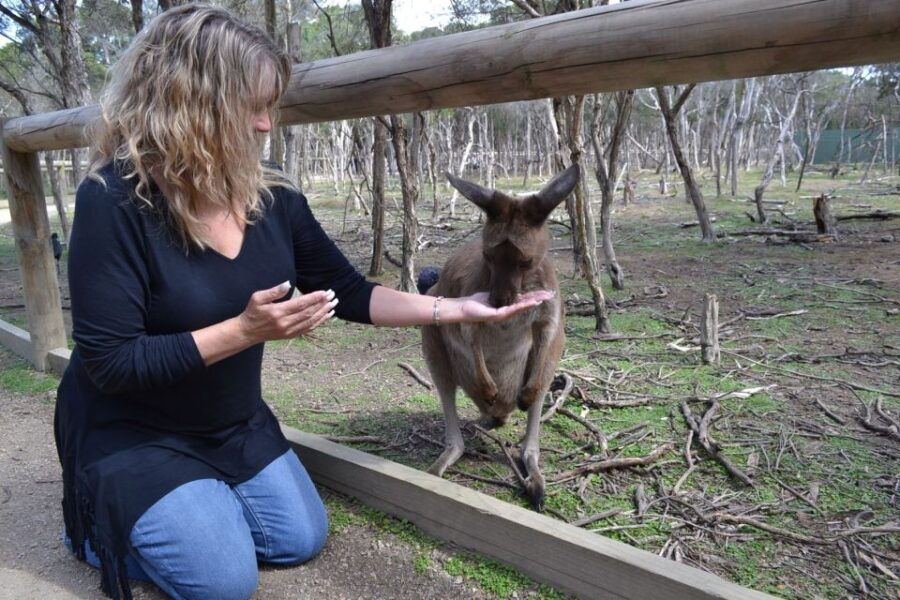 Melbourne: Peninsula Nature Private Day Trip With Dinner - Good To Know