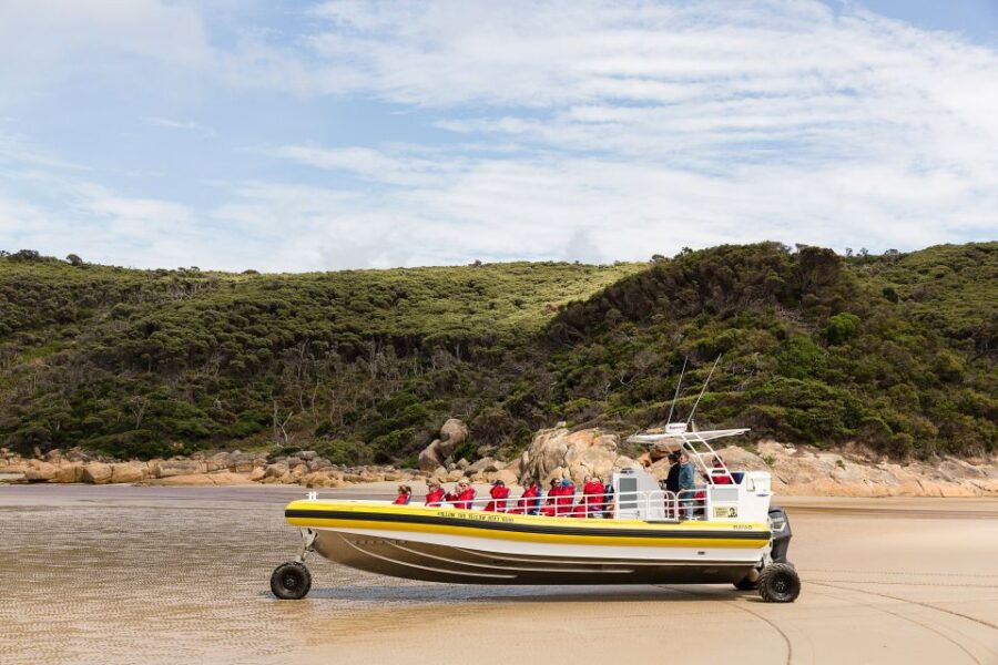 Melbourne: Wilsons Promontory Morning Wilderness Cruise - Good To Know