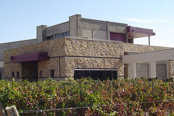 Mendoza Wine Tour With Lunch - Tour Overview and Itinerary