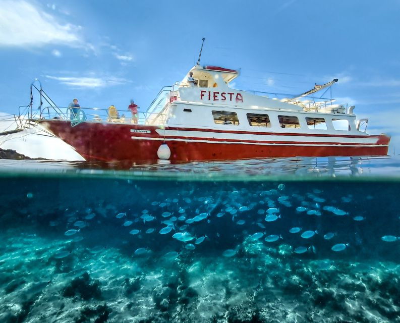 Menorca: Full-Day Boat Tour With Paella Lunch - Good To Know