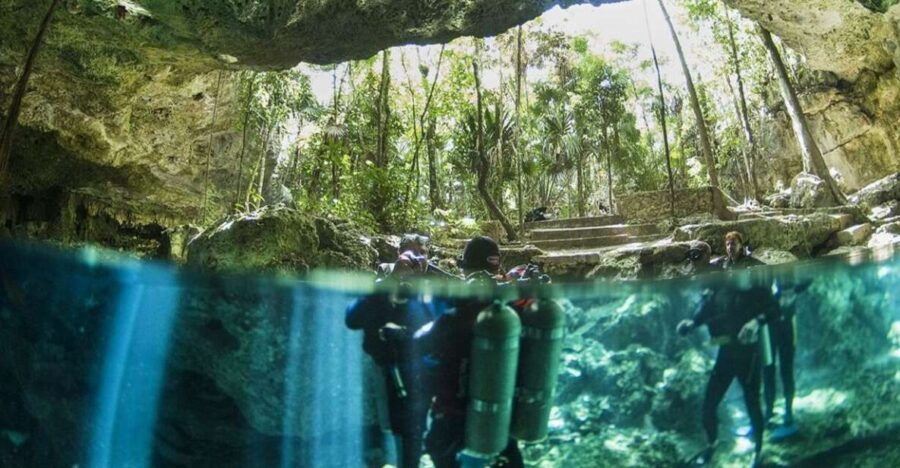 Mérida: Explore Two Cenotes Tour With Lunch - Good To Know