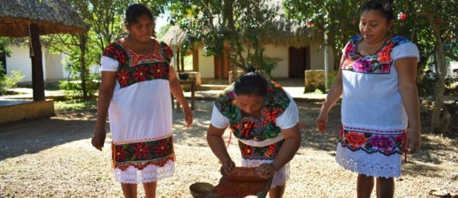Merida: Mayan Community Cultural Immersion