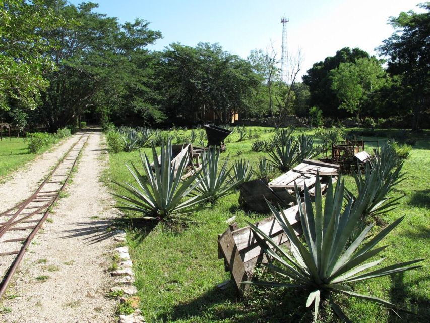 Merida: Yucatan Cenotes and Hacienda Full-Day Trip With Food - Good To Know