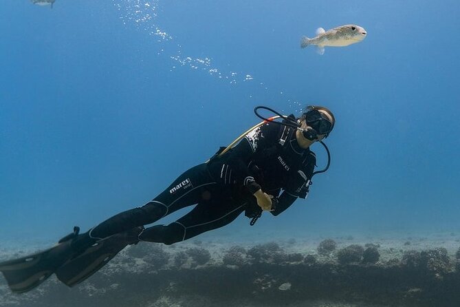 Mesmerizing Private SCUBA Diving Charter in Paradise From Waikiki - Good To Know