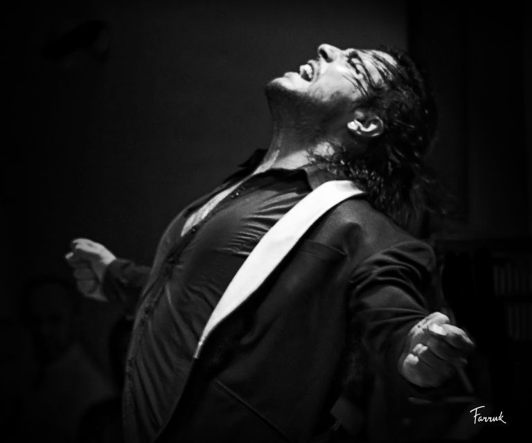 Mexico City: Flamenco Tablao Live Show & Dinner