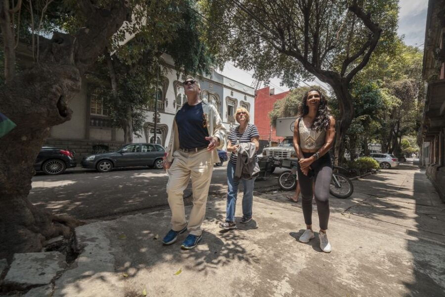 Mexico City: Food Tasting and Cultural Walking Tour