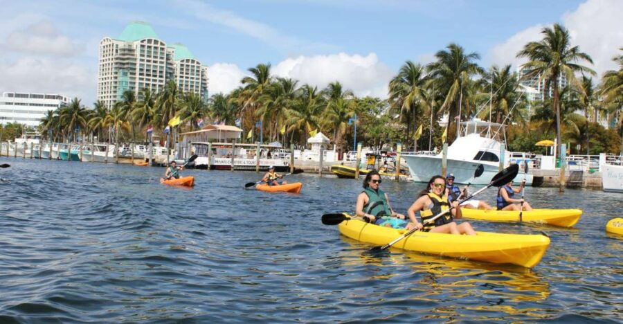 Miami: Biscayne Bay Kayak or Paddleboard Rental - Good To Know