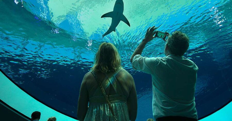 Miami: Frost Science Museum and Planetarium Admission Ticket - Ticket Details