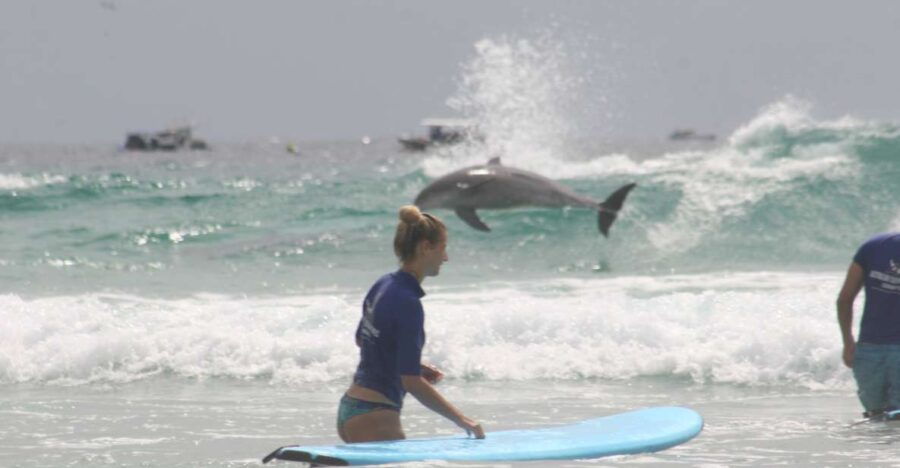 Miami: Group Surf Lesson - Good To Know