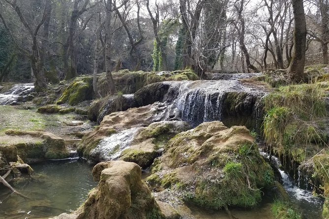 Middle Atlas Day Trip From Fes - Good To Know
