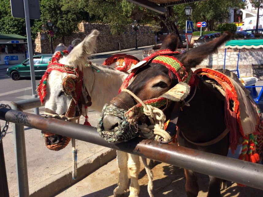 Mijas: Private Walking Tour - Experience Highlights
