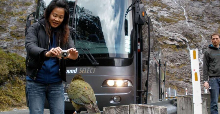 Milford Sound Premium Day Tour and Cruise From Te Anau - Good To Know