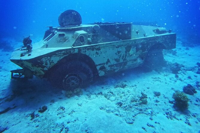 Military Museum Diving Experience in the Red Sea - Traveler Experience