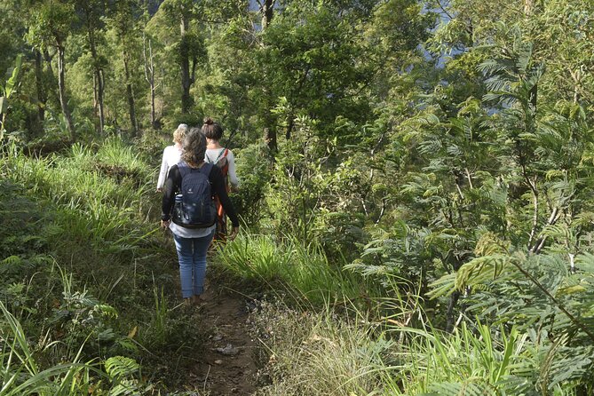 Mindful and Compassionate Nature Walk - Good To Know
