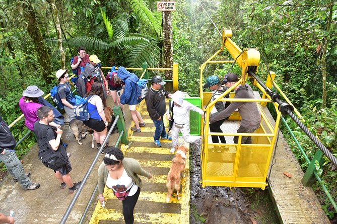 Mindo Adventure. - Good To Know