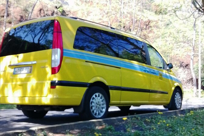 Minibus Transfer: Madeira Airport – Funchal