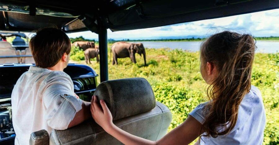 Mirissa/Galle/Hikkaduwa: Transfer to Ella & Udawalawa Safari
