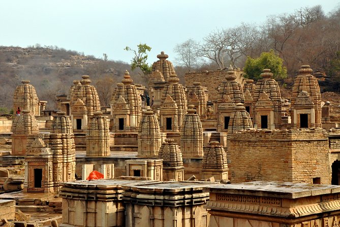 Mitawali, Padawali & Bateshwar Temple (Day Excursion From Gwalior) - Good To Know