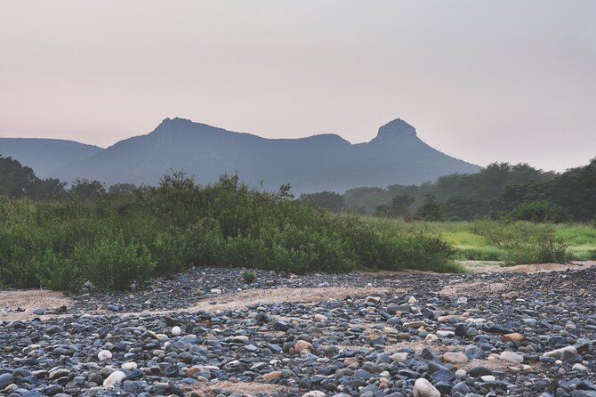 Mkuze River Bird Walk - Good To Know