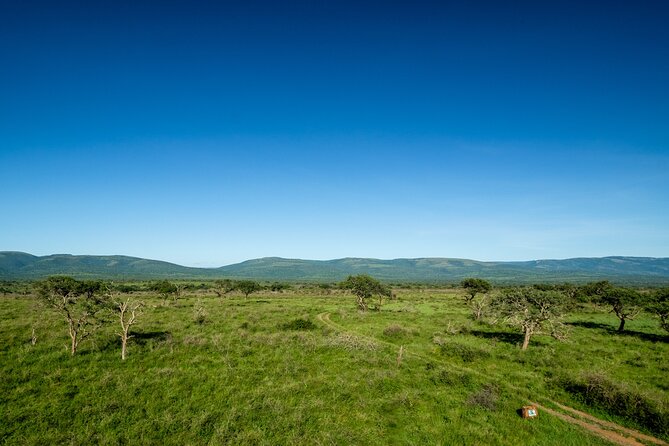 Mkuze (Umkhuze) Game Drive - Full Day With Lunch