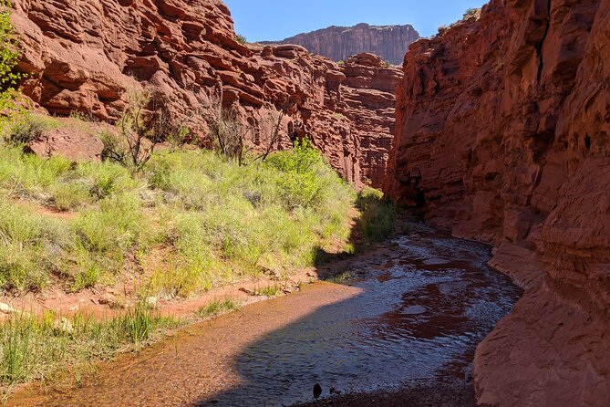Moab Small-Group Half-Day Castle Valley Sumer Hike - Good To Know