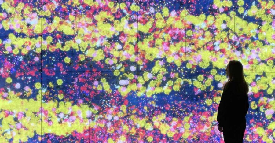 Moco Museum: Guided Tour With Skip-The-Line Entrance Ticket - Good To Know